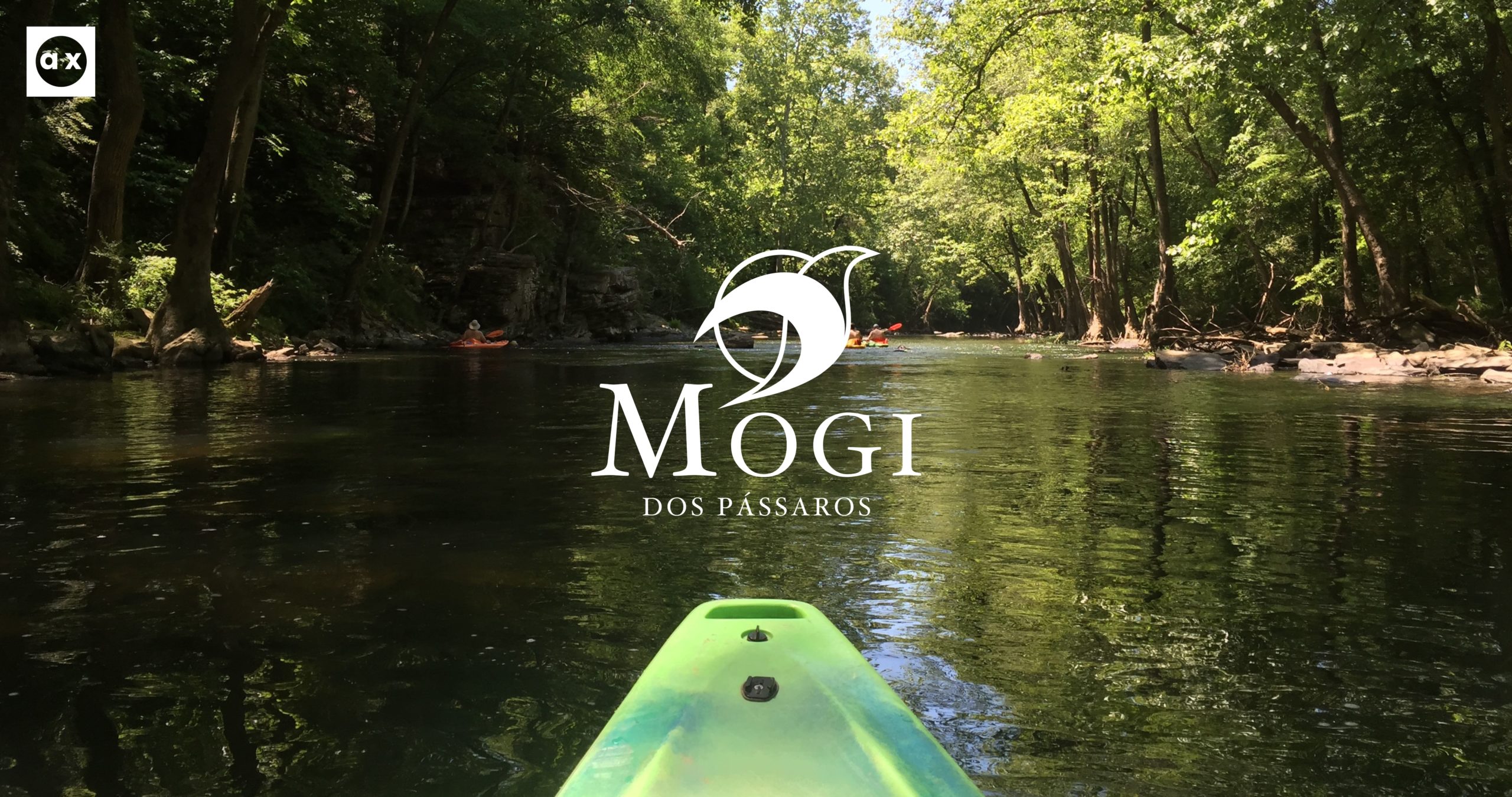 Mogi dos passaros2